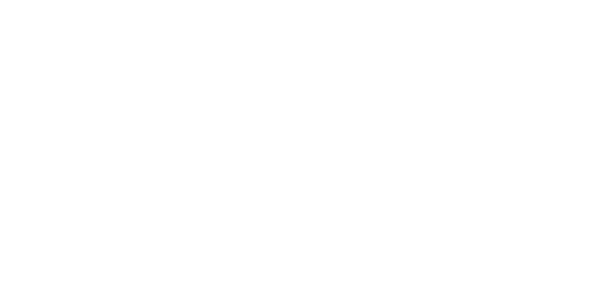 Nehslo Animation Studios Logo