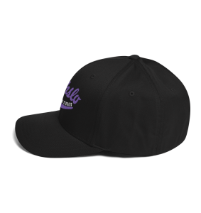 Nehslo Animation Studios Logo - Structured Flex Fit Hat