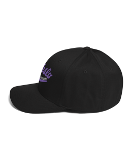 Nehslo Animation Studios Logo - Structured Flex Fit Hat