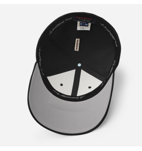 Nehslo Animation Studios Logo - Structured Flex Fit Hat