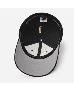 Nehslo Animation Studios Logo - Structured Flex Fit Hat